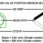 EGR simulator